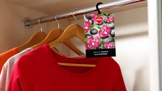 Sašetky a pompony