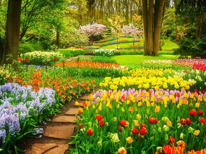MAGIC GARDEN