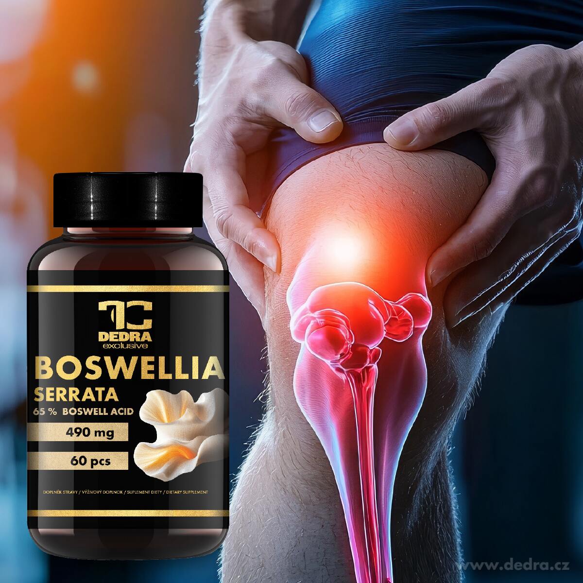DEDRA BOSWELLIA SERRATA 490 mg, 65 % kyseliny boswellové, 60 kapslí,