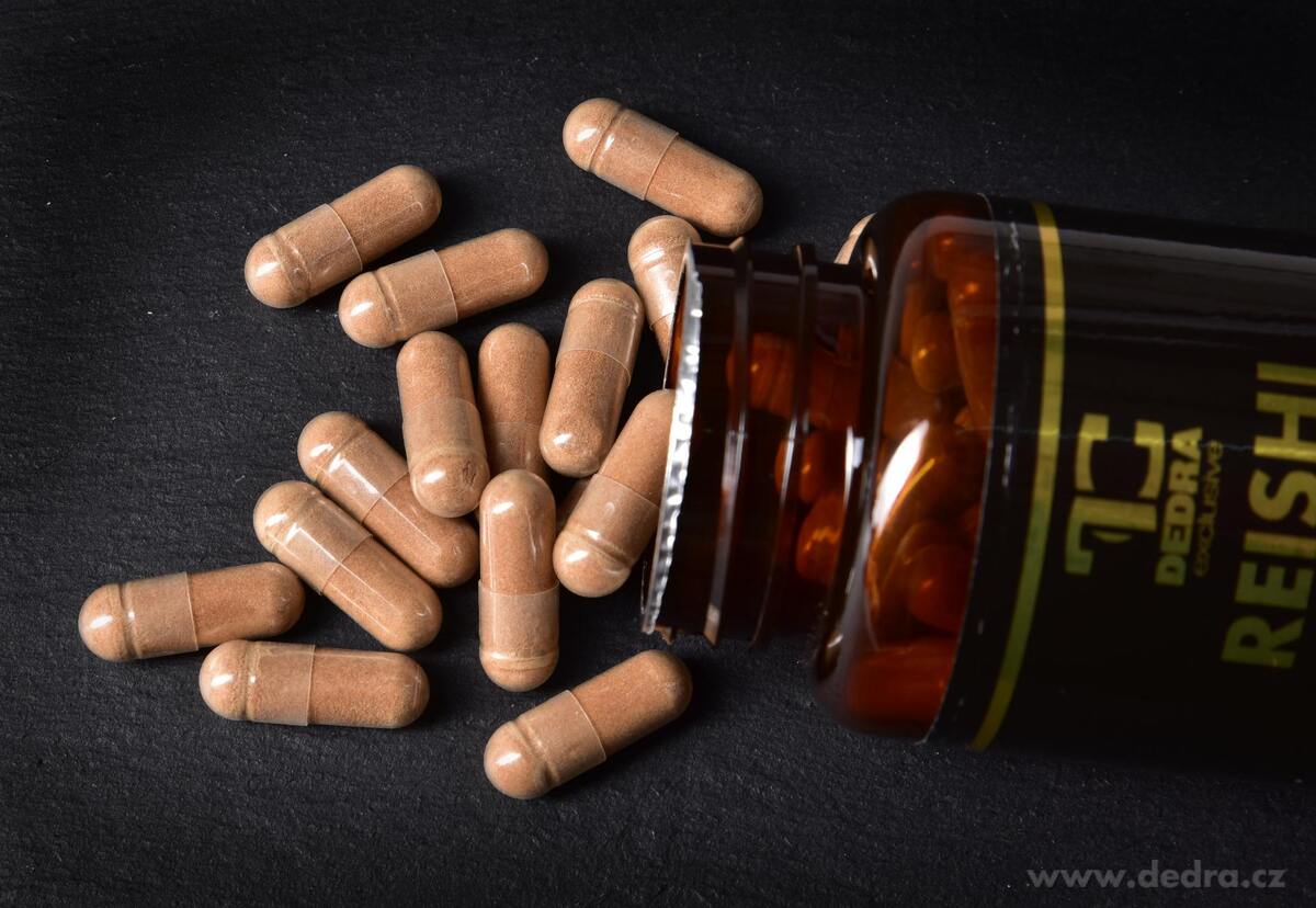 Dedra  REISHI 500 mg, doplněk stravy 90 kapslí