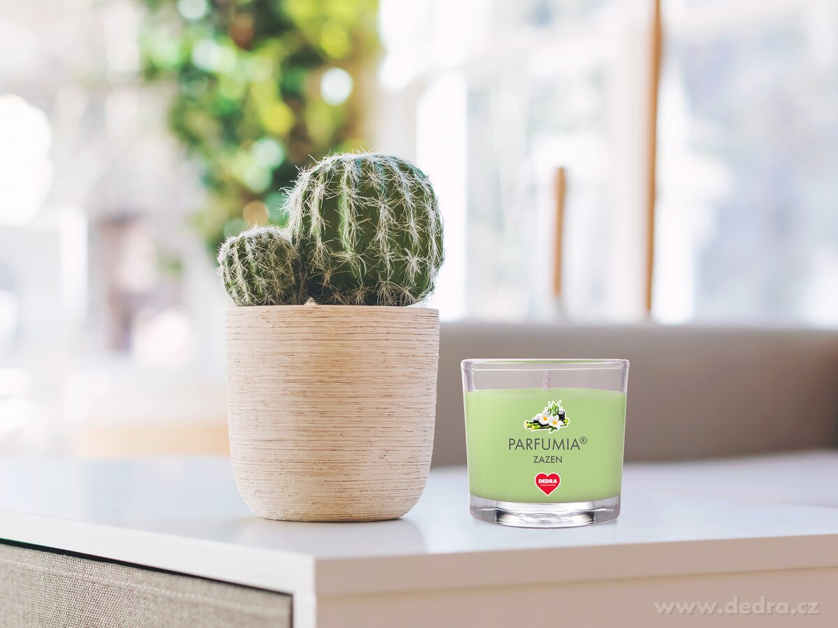 Votivní sójová vonná EKO svíce PARFUMIA®, ZAZEN, 55 ml