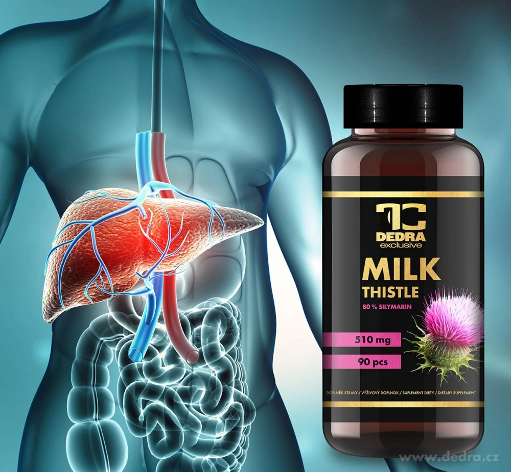 DEDRA OSTROPESTŘEC MARIÁNSKÝ 510 mg | 80 % silymarinu, 90 kapslí