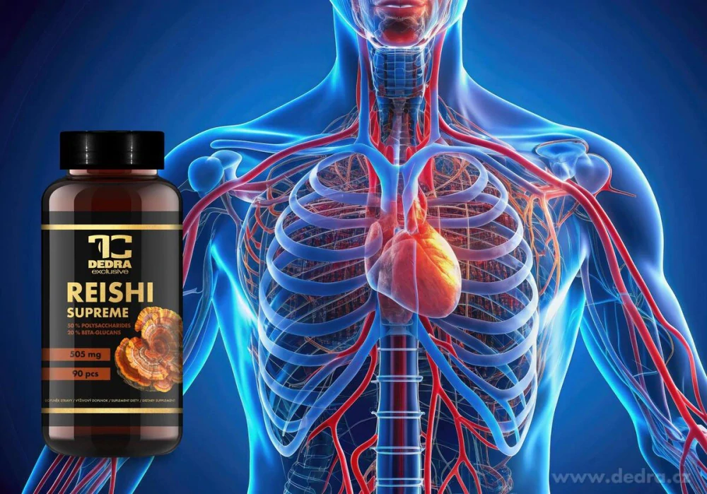 DEDRA REISHI SUPREME 505 mg, 50 % polysacharidů a 20 % beta-glukanů, 90 kapslí