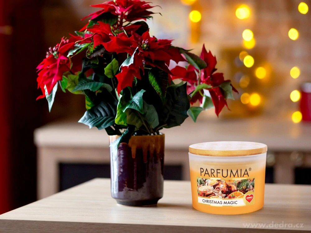 INTENSE 2 KNOTY sójová vonná EKO svíce PARFUMIA® vánoční CHRISTMAS MAGIC 400 ml